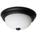 Nuvo 60-127 2 Light - 11 Inch - Flush Mount - Matte Black Finish - Opal Glass