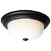 Flush Mount Nuvo 60-128 2 Light - 13 Inch - Flush Mount - Matte Black Finish - Opal Glass Nuvo