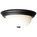 Flush Mount Nuvo 60-128 2 Light - 13 Inch - Flush Mount - Matte Black Finish - Opal Glass Nuvo