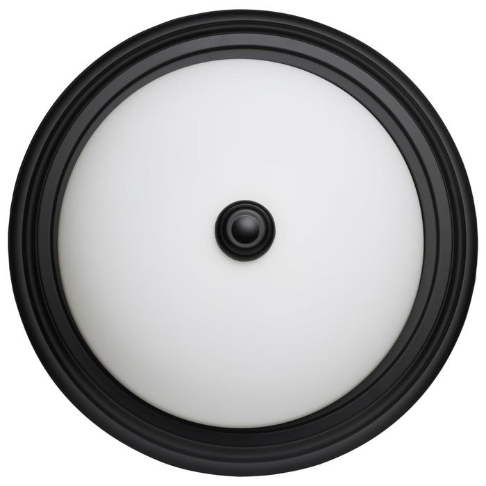 Flush Mount Nuvo 60-128 2 Light - 13 Inch - Flush Mount - Matte Black Finish - Opal Glass Nuvo