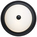 Flush Mount Nuvo 60-128 2 Light - 13 Inch - Flush Mount - Matte Black Finish - Opal Glass Nuvo