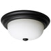 Nuvo 60-128 2 Light - 13 Inch - Flush Mount - Matte Black Finish - Opal Glass