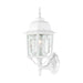 Wall Lantern Nuvo 60-3487 Banyan - 1 Light - 17 in. - Outdoor Wall with Clear Water Glass - Color retail packaging - White Finish Nuvo