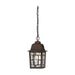 Hanging Lantern Nuvo 60-3490 Banyan - 1 Light - 11 in. - Outdoor Hanging with Clear Water Glass - Color retail packaging - Rustic Bronze Finish Nuvo
