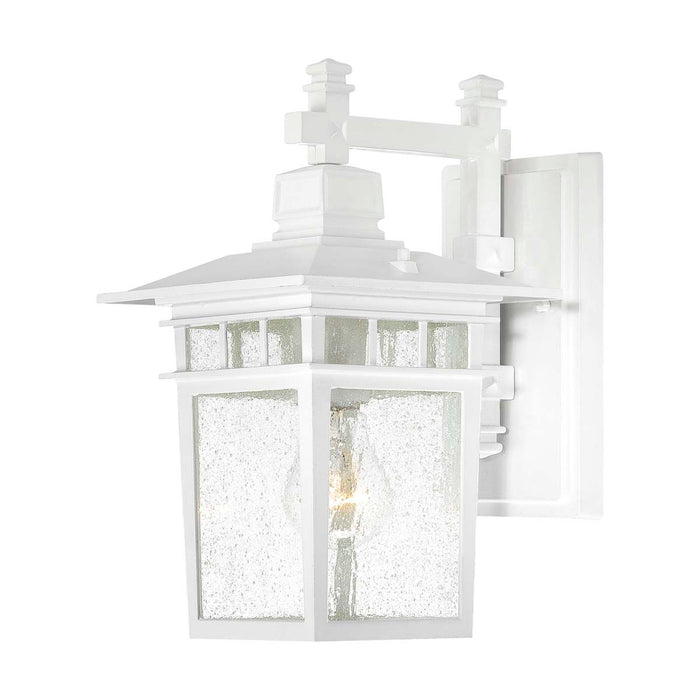 Wall Lantern Nuvo 60-3491 Cove Neck - 1 Light - 12 in. - Outdoor Lantern with Clear Seed Glass - Color retail packaging - White Finish Nuvo