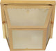 Flush Mount Nuvo 60-471 2 Light - 10 in. - Carport Flush Mount with Textured Frosted Glass - Polished Brass Finish Nuvo