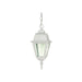 Hanging Lantern Nuvo 60-487 Briton - 1 Light - 10 in. - Hanging Lantern with Clear Glass - White Finish Nuvo