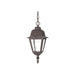 Hanging Lantern Nuvo 60-488 Briton - 1 Light - 10 in. - Hanging Lantern with Clear Glass - Old Bronze Finish Nuvo