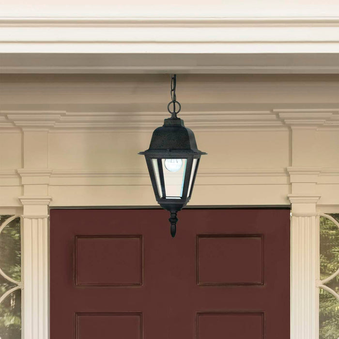 Hanging Lantern Nuvo 60-489 Briton - 1 Light - 10 in. - Hanging Lantern with Clear Glass - Textured Black Finish Nuvo