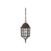 Hanging Lantern Nuvo 60-4912 Adams - 1 Light - 16 in. - Outdoor Hanging with Frosted Glass - Rustic Bronze Finish Nuvo