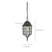 Hanging Lantern Nuvo 60-4913 Adams - 1 Light - 16 in. - Outdoor Hanging with Frosted Glass - Textured Black Finish Nuvo