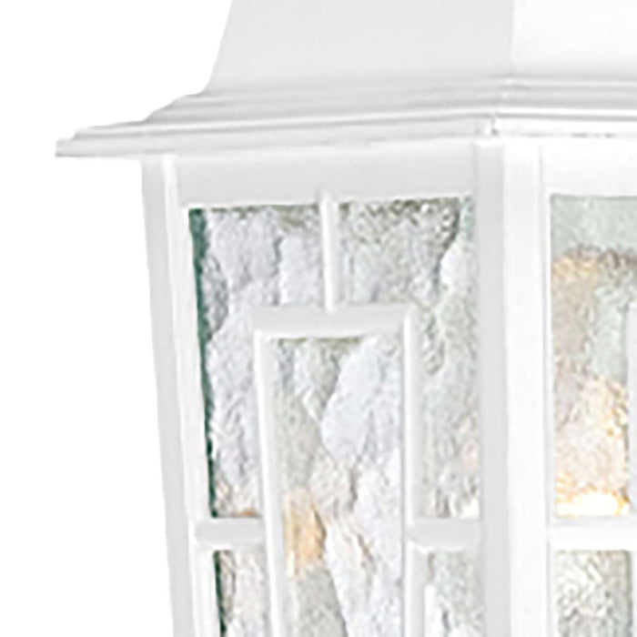 Wall Lantern Nuvo 60-4921 Banyan - 1 Light - 12 in. - Outdoor Wall with Clear Water Glass - White Finish Nuvo