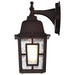 Wall Lantern Nuvo 60-4922 Banyan - 1 Light - 12 in. - Outdoor Wall with Clear Water Glass - Rustic Bronze Finish Nuvo
