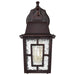 Wall Lantern Nuvo 60-4922 Banyan - 1 Light - 12 in. - Outdoor Wall with Clear Water Glass - Rustic Bronze Finish Nuvo