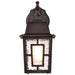 Wall Lantern Nuvo 60-4922 Banyan - 1 Light - 12 in. - Outdoor Wall with Clear Water Glass - Rustic Bronze Finish Nuvo
