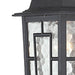 Wall Lantern Nuvo 60-4923 Banyan - 1 Light - 12 in. - Outdoor Wall with Clear Water Glass - Textured Black Finish Nuvo