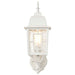 Wall Lantern Nuvo 60-4924 Banyan - 1 Light - 17 in. - Outdoor Wall with Clear Water Glass - White Finish Nuvo