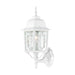 Wall Lantern Nuvo 60-4924 Banyan - 1 Light - 17 in. - Outdoor Wall with Clear Water Glass - White Finish Nuvo