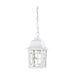 Hanging Lantern Nuvo 60-4931 Banyan - 1 Light - 11 in. - Outdoor Hanging with Clear Water Glass - White Finish Nuvo