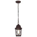 Hanging Lantern Nuvo 60-4932 Banyan - 1 Light - 11 in. - Outdoor Hanging with Clear Water Glass - Rustic Bronze Finish Nuvo