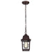 Hanging Lantern Nuvo 60-4932 Banyan - 1 Light - 11 in. - Outdoor Hanging with Clear Water Glass - Rustic Bronze Finish Nuvo