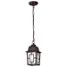 Hanging Lantern Nuvo 60-4932 Banyan - 1 Light - 11 in. - Outdoor Hanging with Clear Water Glass - Rustic Bronze Finish Nuvo