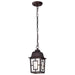 Hanging Lantern Nuvo 60-4932 Banyan - 1 Light - 11 in. - Outdoor Hanging with Clear Water Glass - Rustic Bronze Finish Nuvo