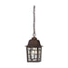 Hanging Lantern Nuvo 60-4932 Banyan - 1 Light - 11 in. - Outdoor Hanging with Clear Water Glass - Rustic Bronze Finish Nuvo