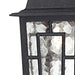 Hanging Lantern Nuvo 60-4933 Banyan - 1 Light - 11 in. - Outdoor Hanging with Clear Water Glass - Textured Black Finish Nuvo