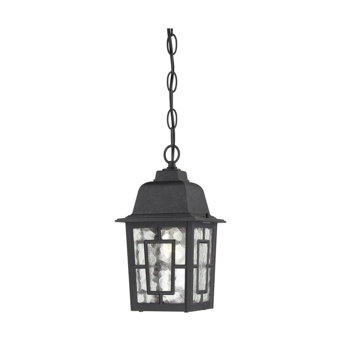 Hanging Lantern Nuvo 60-4933 Banyan - 1 Light - 11 in. - Outdoor Hanging with Clear Water Glass - Textured Black Finish Nuvo
