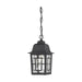 Hanging Lantern Nuvo 60-4933 Banyan - 1 Light - 11 in. - Outdoor Hanging with Clear Water Glass - Textured Black Finish Nuvo
