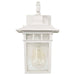 Wall Lantern Nuvo 60-4951 Cove Neck - 1 Light - 12 in. - Outdoor Lantern with Clear Seed Glass - White Finish Nuvo