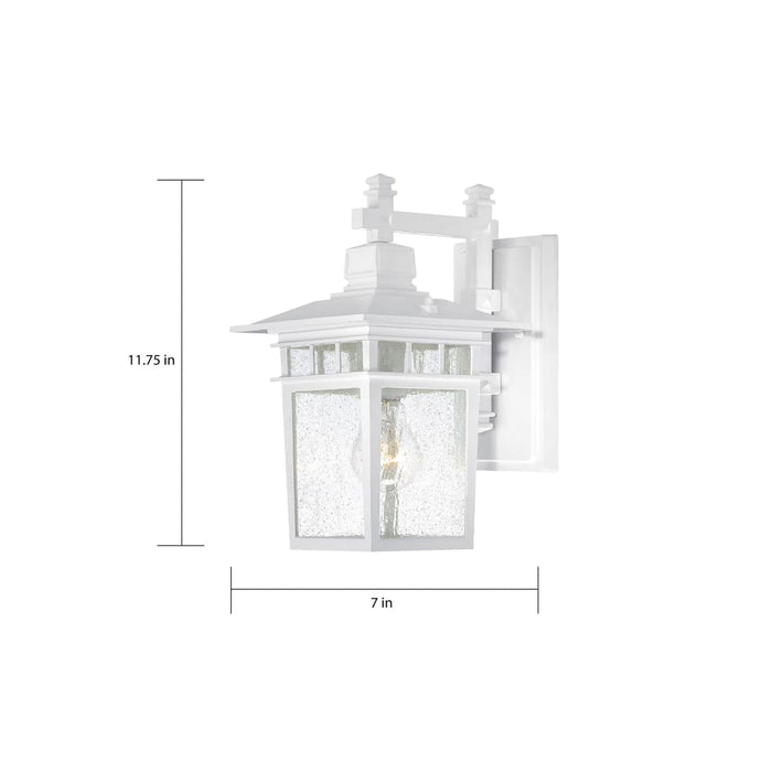 Wall Lantern Nuvo 60-4951 Cove Neck - 1 Light - 12 in. - Outdoor Lantern with Clear Seed Glass - White Finish Nuvo