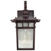 Wall Lantern Nuvo 60-4952 Cove Neck - 1 Light - 12 in. - Outdoor Lantern with Clear Seed Glass - Rustic Bronze Finish Nuvo