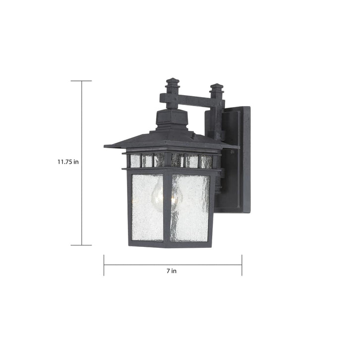 Wall Lantern Nuvo 60-4953 Cove Neck - 1 Light - 12 in. - Outdoor Lantern with Clear Seed Glass - Textured Black Finish Nuvo