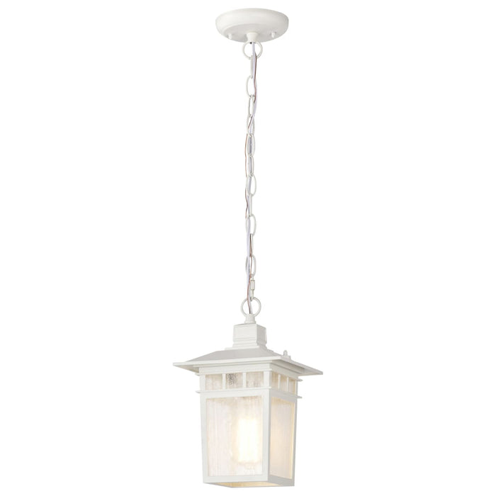 Hanging Lantern Nuvo 60-4954 Cove Neck - 1 Light - 12 in. - Outdoor Hang with Clear Seed Glass - White Finish Nuvo