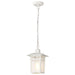 Hanging Lantern Nuvo 60-4954 Cove Neck - 1 Light - 12 in. - Outdoor Hang with Clear Seed Glass - White Finish Nuvo