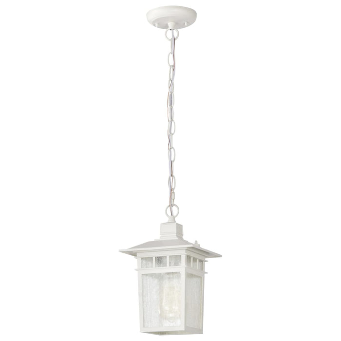 Hanging Lantern Nuvo 60-4954 Cove Neck - 1 Light - 12 in. - Outdoor Hang with Clear Seed Glass - White Finish Nuvo