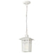 Hanging Lantern Nuvo 60-4954 Cove Neck - 1 Light - 12 in. - Outdoor Hang with Clear Seed Glass - White Finish Nuvo