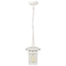 Hanging Lantern Nuvo 60-4954 Cove Neck - 1 Light - 12 in. - Outdoor Hang with Clear Seed Glass - White Finish Nuvo