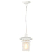 Hanging Lantern Nuvo 60-4954 Cove Neck - 1 Light - 12 in. - Outdoor Hang with Clear Seed Glass - White Finish Nuvo
