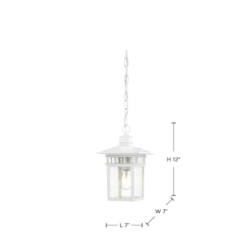Hanging Lantern Nuvo 60-4954 Cove Neck - 1 Light - 12 in. - Outdoor Hang with Clear Seed Glass - White Finish Nuvo