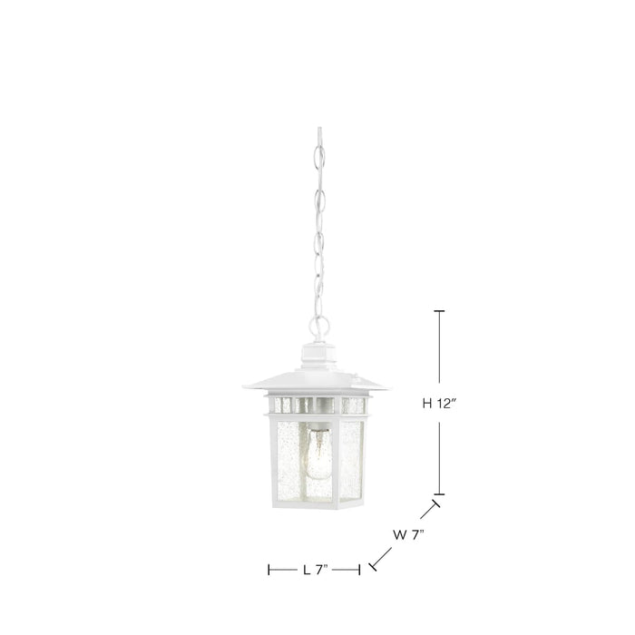Hanging Lantern Nuvo 60-4954 Cove Neck - 1 Light - 12 in. - Outdoor Hang with Clear Seed Glass - White Finish Nuvo