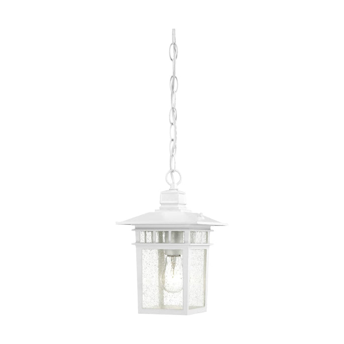 Hanging Lantern Nuvo 60-4954 Cove Neck - 1 Light - 12 in. - Outdoor Hang with Clear Seed Glass - White Finish Nuvo