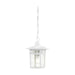 Hanging Lantern Nuvo 60-4954 Cove Neck - 1 Light - 12 in. - Outdoor Hang with Clear Seed Glass - White Finish Nuvo