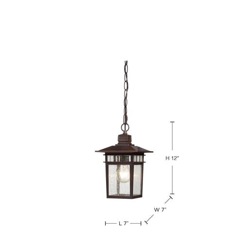 Hanging Lantern Nuvo 60-4955 Cove Neck - 1 Light - 12 in. - Outdoor Hang with Clear Seed Glass - Rustic Bronze Finish Nuvo