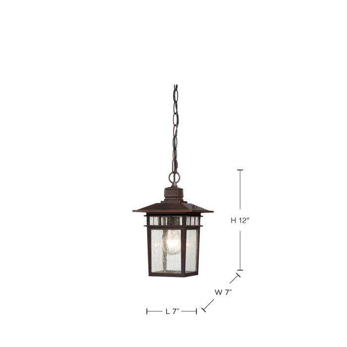Hanging Lantern Nuvo 60-4955 Cove Neck - 1 Light - 12 in. - Outdoor Hang with Clear Seed Glass - Rustic Bronze Finish Nuvo