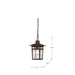 Hanging Lantern Nuvo 60-4955 Cove Neck - 1 Light - 12 in. - Outdoor Hang with Clear Seed Glass - Rustic Bronze Finish Nuvo