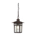 Hanging Lantern Nuvo 60-4955 Cove Neck - 1 Light - 12 in. - Outdoor Hang with Clear Seed Glass - Rustic Bronze Finish Nuvo