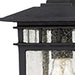 Hanging Lantern Nuvo 60-4956 Cove Neck - 1 Light - 12 in. - Outdoor Hang with Clear Seed Glass - Textured Black Finish Nuvo